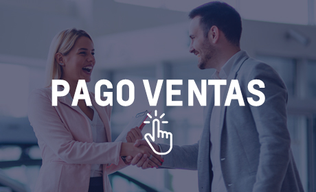 pago webpay vehiculos