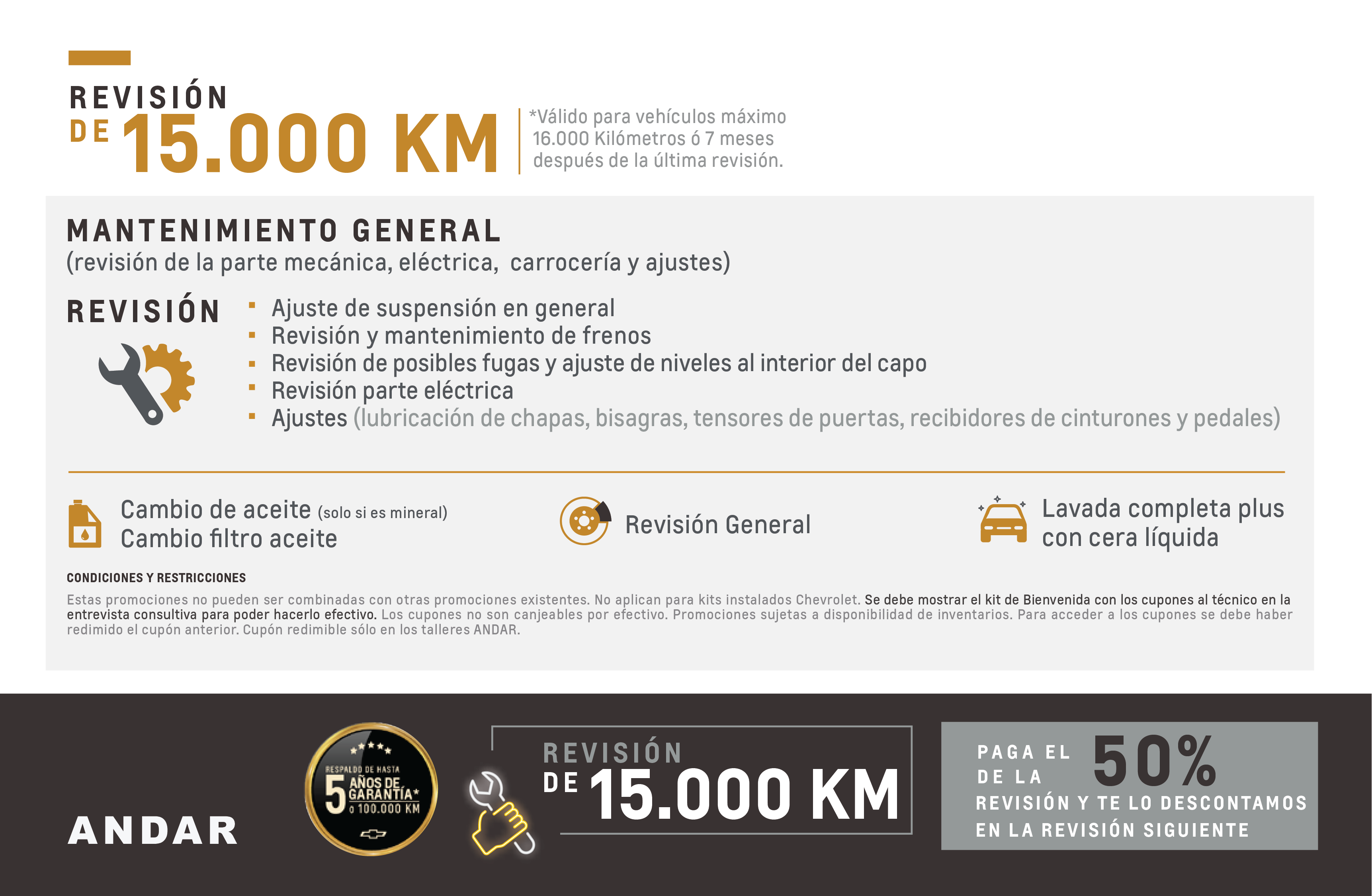 Revision de De 15.000 KM