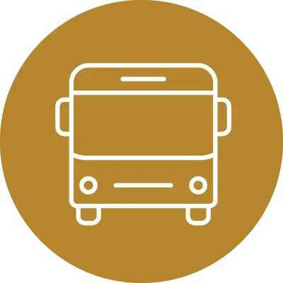 Autobuses y camiones